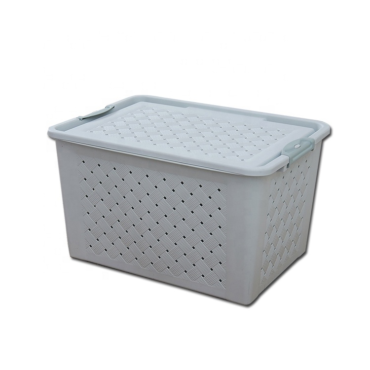 China Hot Saling 25L Plastic Storage Box with Multiple Functions